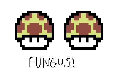 N0 Logo for Fungus
