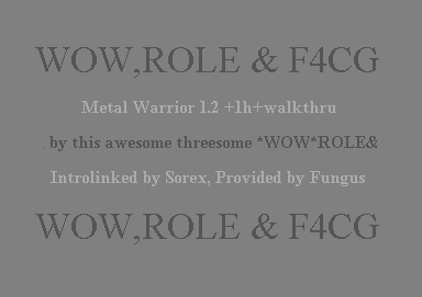 Metal Warrior +1HW