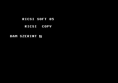Ricsi Copy [hungarian]