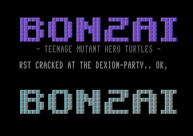 Teenage Mutant Hero Turtles +2