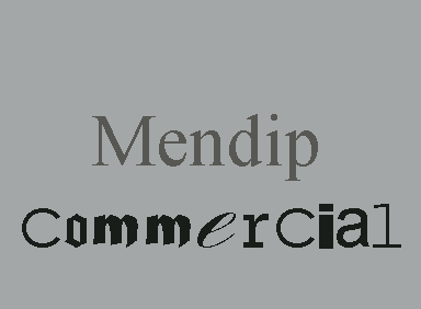 Mendip Commercial 2