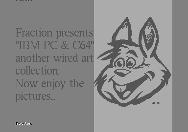 IBM PC & C64