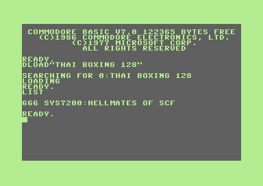 Thai Boxing C128