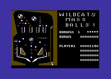 Wildcats Mass Balls