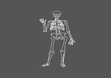 Human Anatomy Series - Skeletal Bones Tutorial