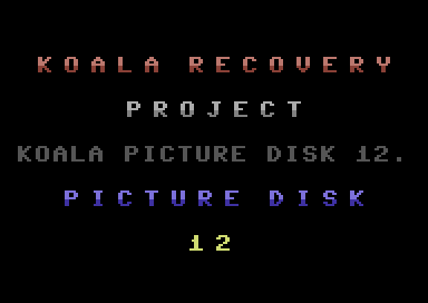 Koala Recovery Project Picture Disk 12-14