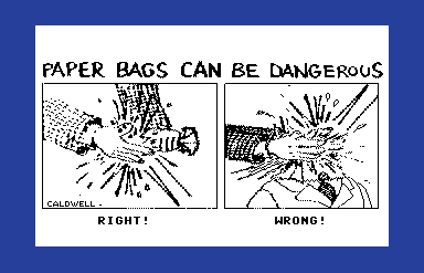 Bag Safety