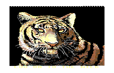BBS Demo (Tiger)