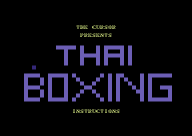 Thai Boxing Instructions