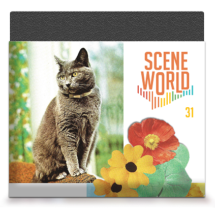 Scene World #31 - Disk Cover
