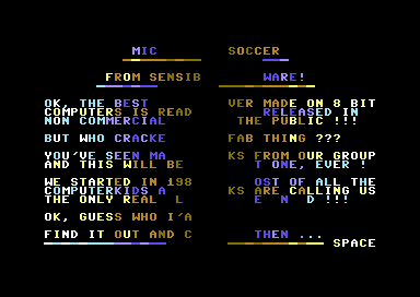Microprose Soccer (Outdoor)