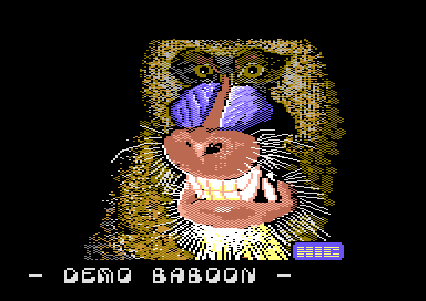 Demo Baboon